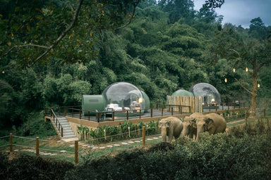 Anantara Golden Triangle Elephant Camp & Resort - Noble Stay
